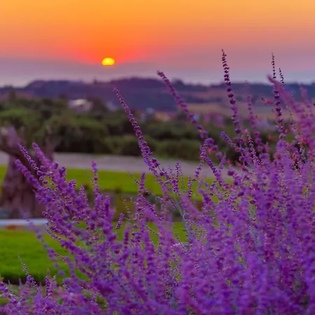 Mint Retreat (adults Only) *